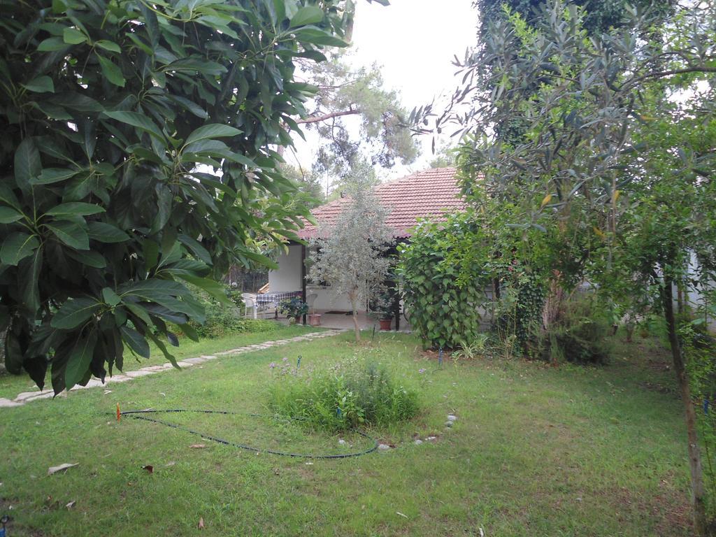 Bungalow Halil Чирали Номер фото